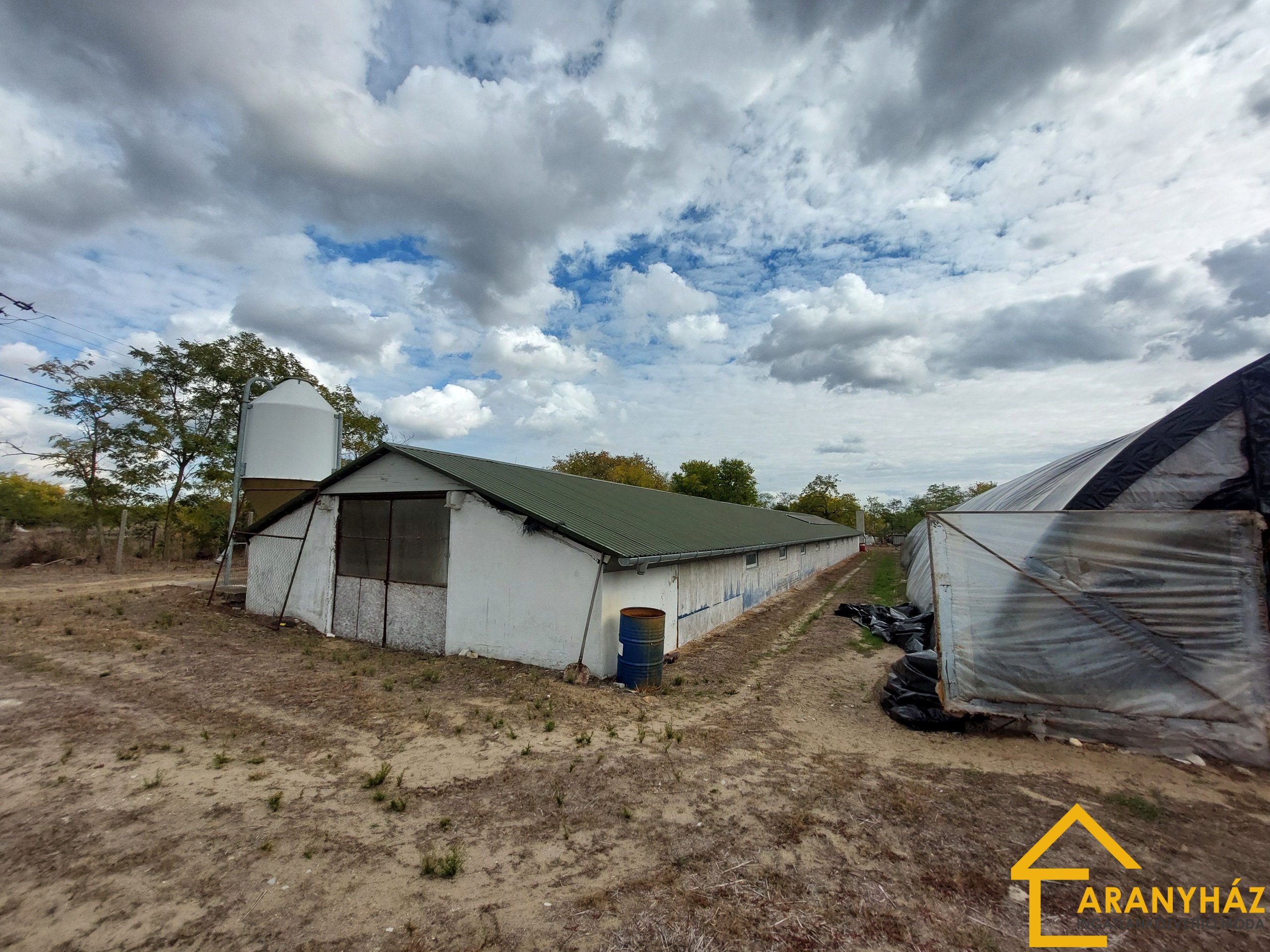 Kiskunhalason eladó egy 2400 m2-es – állat tartásra alkalmas tanya